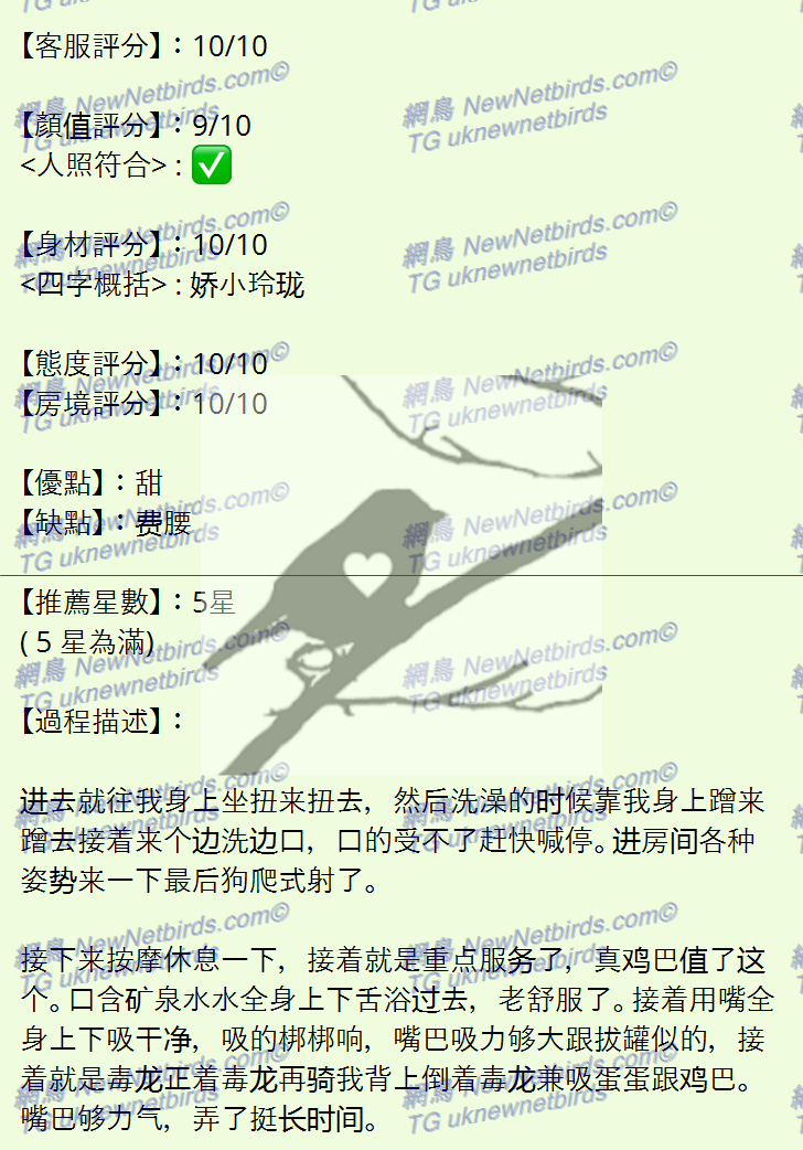 戰號 323 2.png